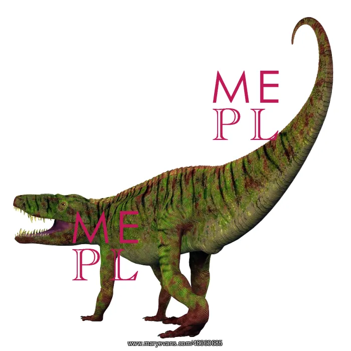 : Batrachotomus dinosaur tail : Batrachotomus dinosaur tail