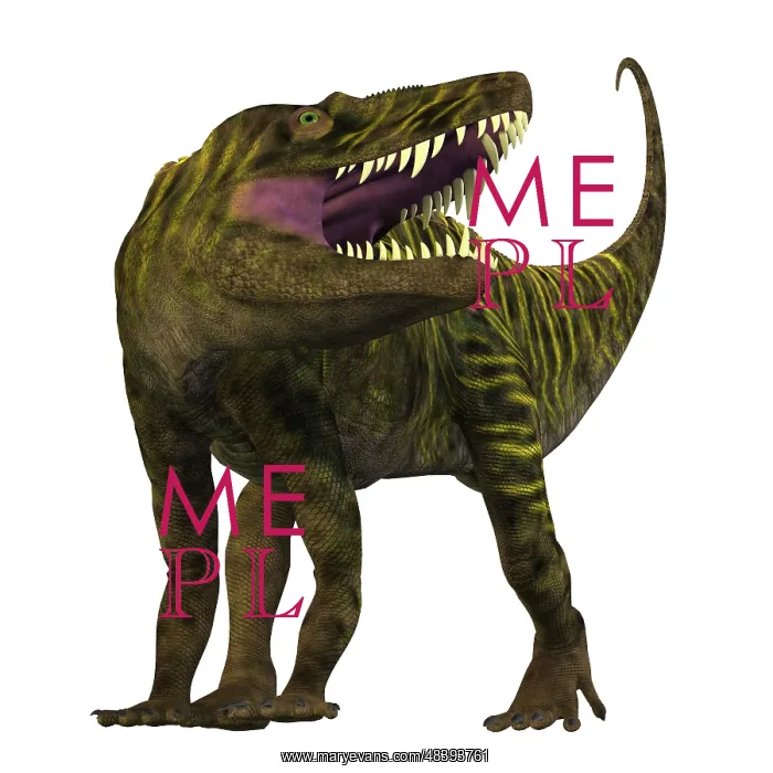 : Batrachotomus roaring, white background : Batrachotomus roaring, white background