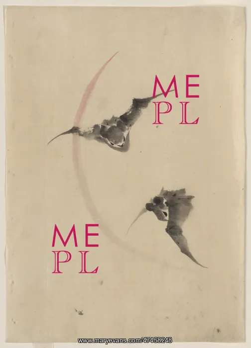  : Two bats flying