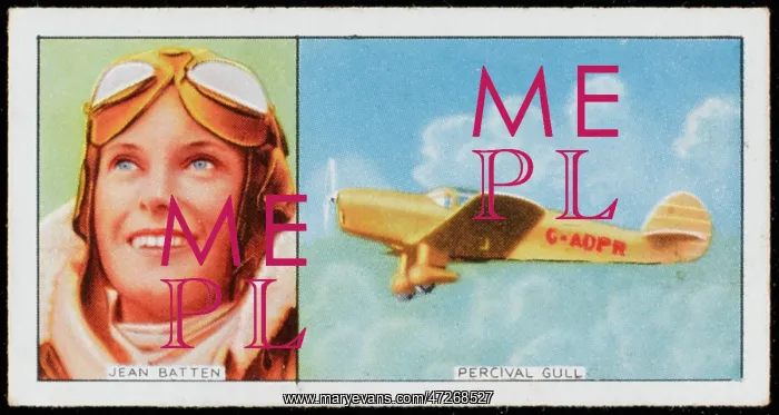 : Batten - Percival Gull : Batten - Percival Gull