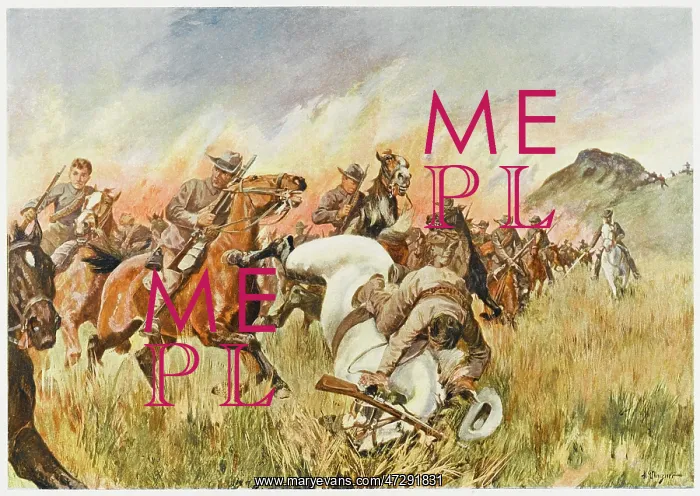 : BATTLE OF BIDDULPHSBERG : BATTLE OF BIDDULPHSBERG