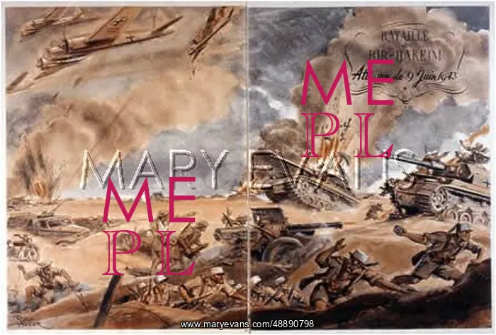 : BATTLE OF BIR HAKIM : BATTLE OF BIR HAKIM