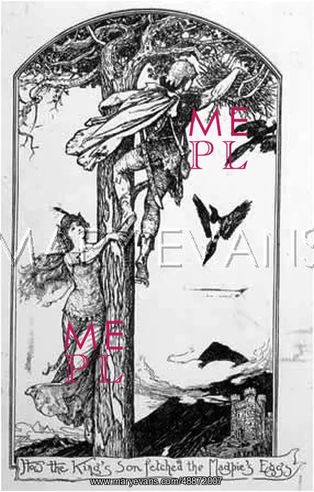 : THE BATTLE OF THE BIRDS : THE BATTLE OF THE BIRDS