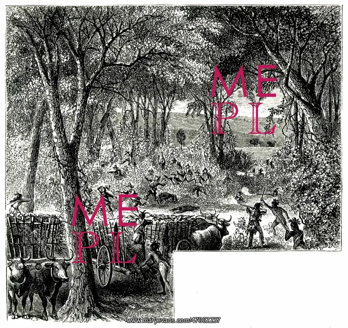 : The Battle of Bloody Brook : The Battle of Bloody Brook