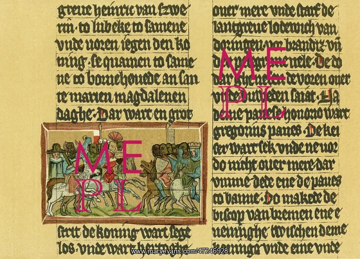  : BATTLE OF BORNHOEVED