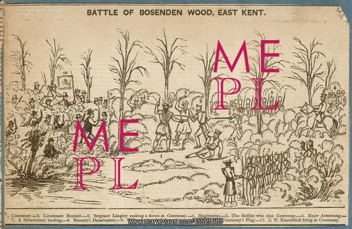 : BATTLE OF BOSSENDEN WOOD : BATTLE OF BOSSENDEN WOOD