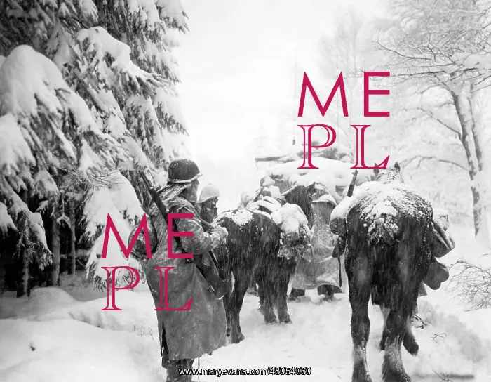 : Battle of the Bulge, 1944 : Battle of the Bulge, 1944
