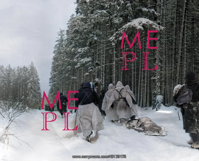  : Battle of the Bulge