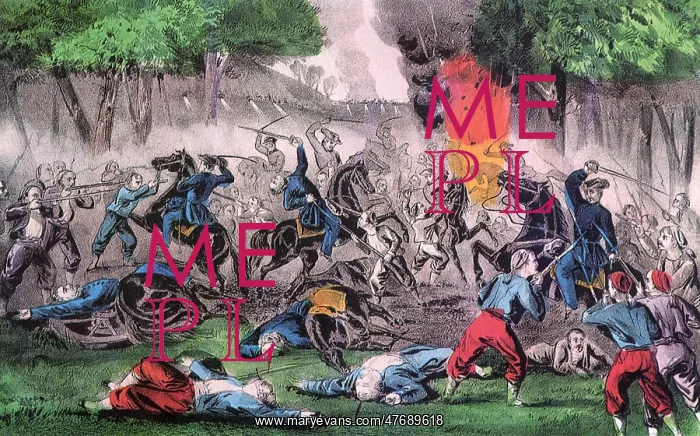 : Battle of Bull Run : Battle of Bull Run