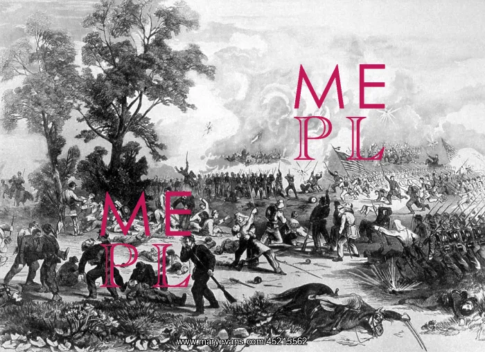 : The Battle of Bull Run, General McDowell's ? : The Battle of Bull Run, General McDowell's ?