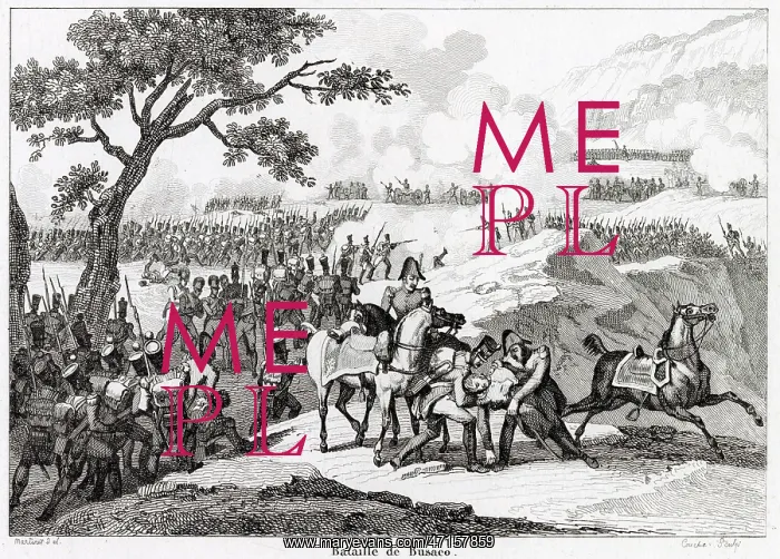 : Battle of Busaco, Peninsula War : Battle of Busaco, Peninsula War