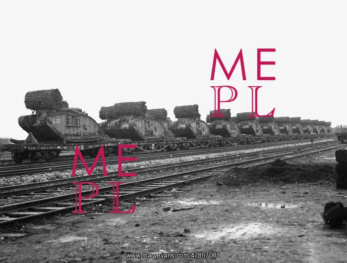  : Battle of Cambrai 1917