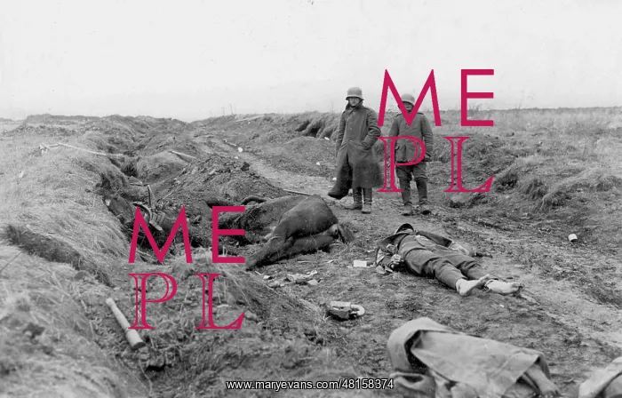  : Battle of Cambrai in the First World War, 1917