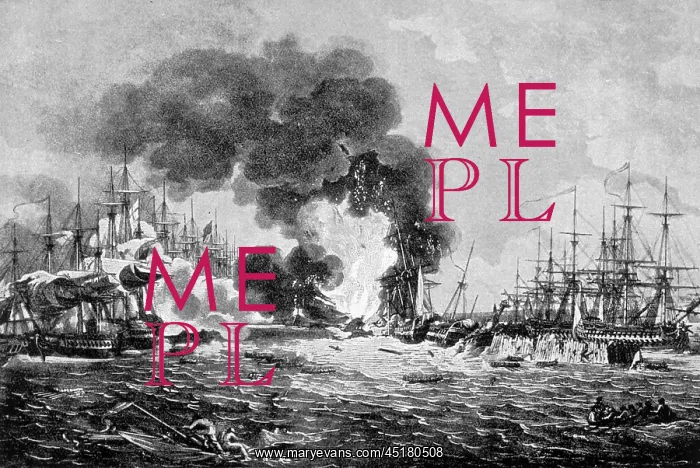 : BATTLE OF COPENHAGEN : BATTLE OF COPENHAGEN