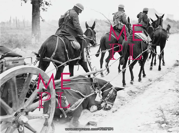 : Battle of the Drocourt-Queant Line 1918 : Battle of the Drocourt-Queant Line 1918