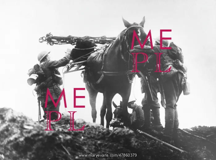 : Battle of Flanders : Battle of Flanders