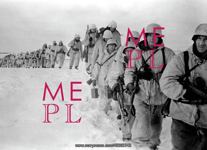 : Battle group on the Eastern Front, 1943 : Battle group on the Eastern Front, 1943