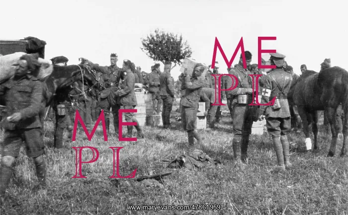 : Battle of the Marne 1914 : Battle of the Marne 1914