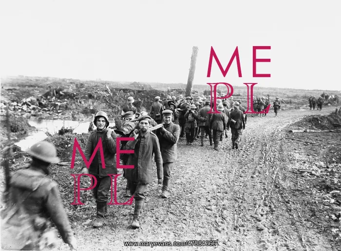 : Battle of Menin Road Ridge : Battle of Menin Road Ridge