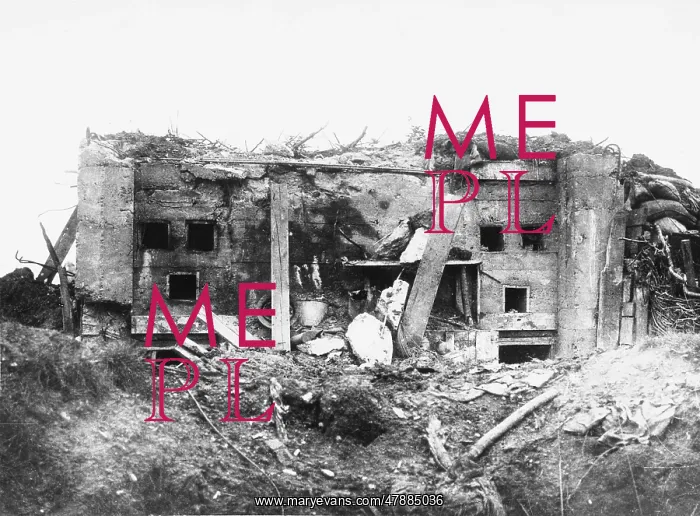 : Battle of Messines : Battle of Messines