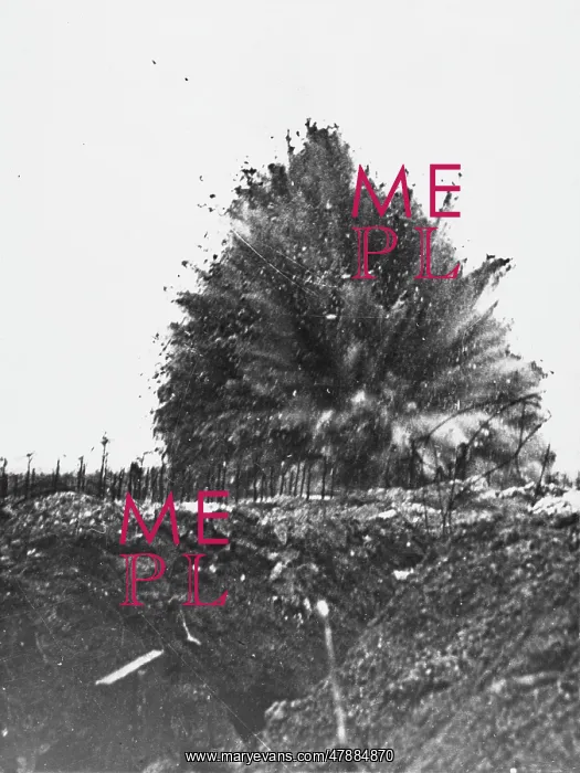 : Battle of Messines Ridge : Battle of Messines Ridge