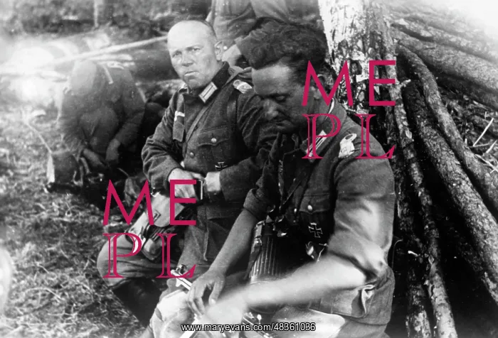 : Battle of Novgorod, August 1941 : Battle of Novgorod, August 1941