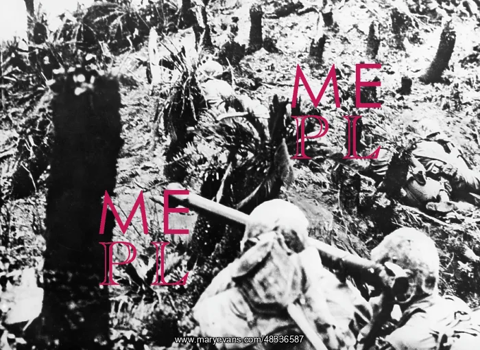: Battle of Okinawa 1945 : Battle of Okinawa 1945