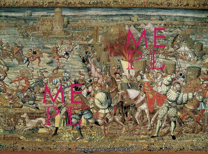 : Battle of Pavia (1525) : Battle of Pavia (1525)