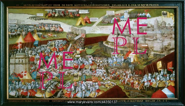 : The Battle of Pavia (frame) : The Battle of Pavia (frame)