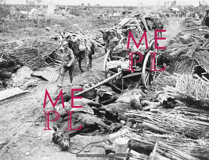 : Battle of Pilkem Ridge : Battle of Pilkem Ridge