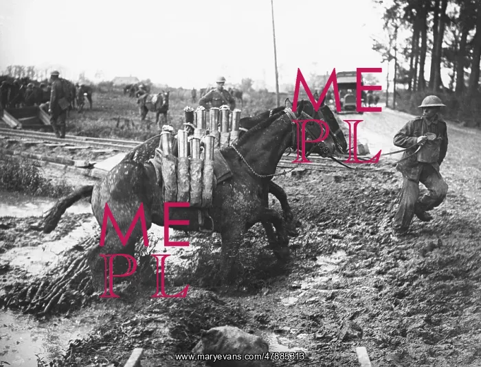 : Battle of Pilkem Ridge : Battle of Pilkem Ridge