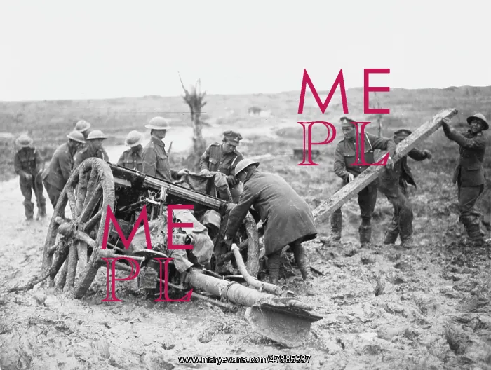 : Battle of Pilkem Ridge : Battle of Pilkem Ridge