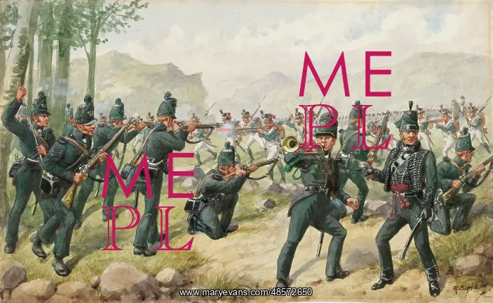 : Battle of the Pyrenees, 1813 : Battle of the Pyrenees, 1813