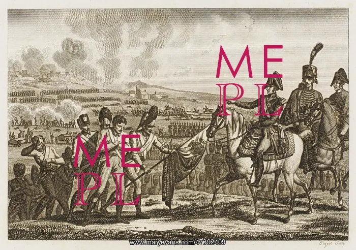 : BATTLE OF RAAB : BATTLE OF RAAB