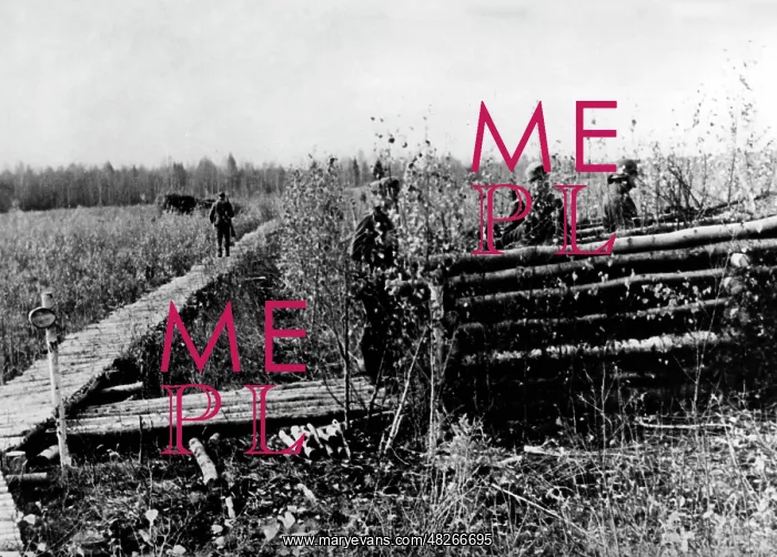 : Battle station in a swamp area, 1942 : Battle station in a swamp area, 1942