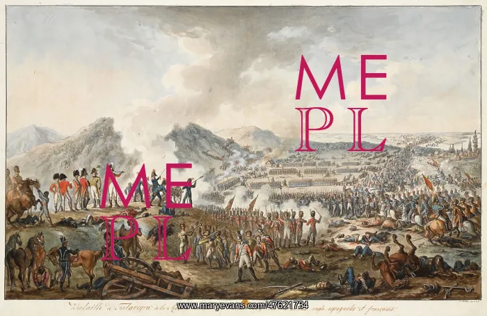 : Battle of Talavera : Battle of Talavera