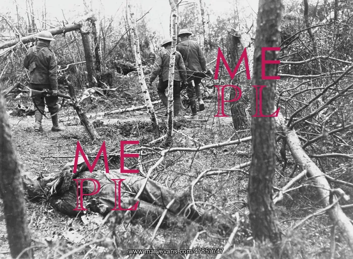 : Battle of Tardenois 1918 : Battle of Tardenois 1918