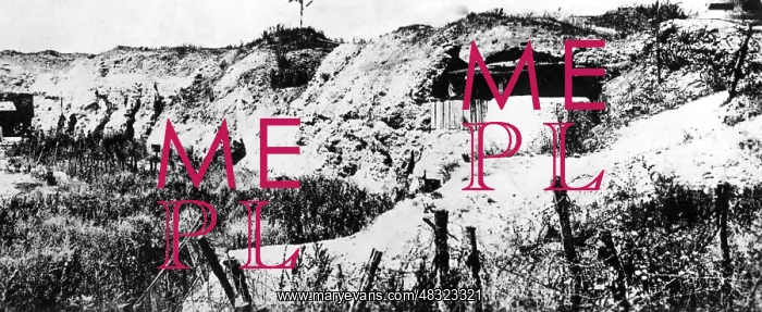 : Battle of Verdun, 1916 : Battle of Verdun, 1916