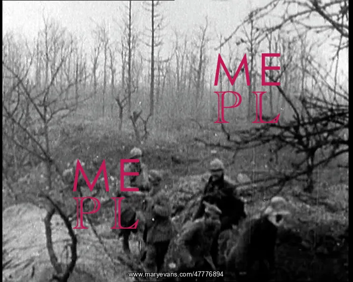  : Battle Of Verdun