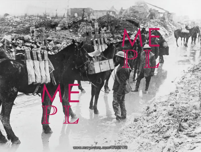 : Battle of Vimy Ridge 1917 : Battle of Vimy Ridge 1917