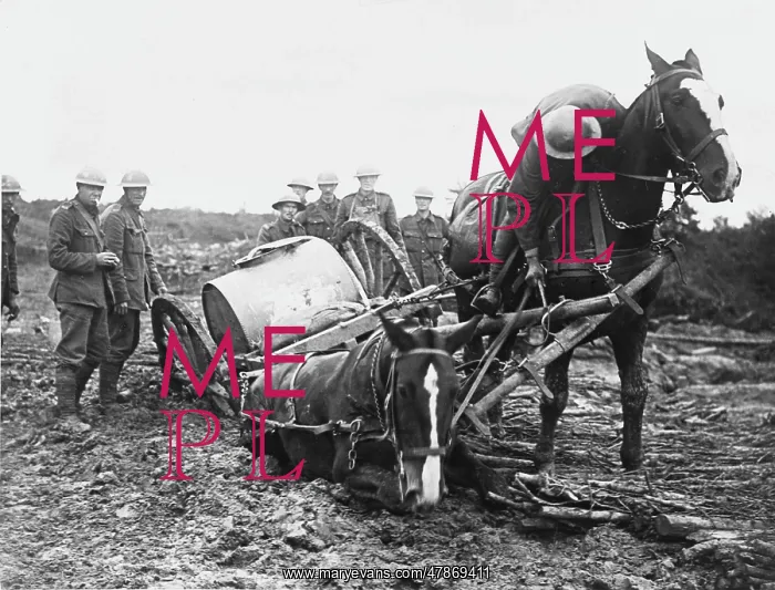 : Battle of Ypres 1917 : Battle of Ypres 1917