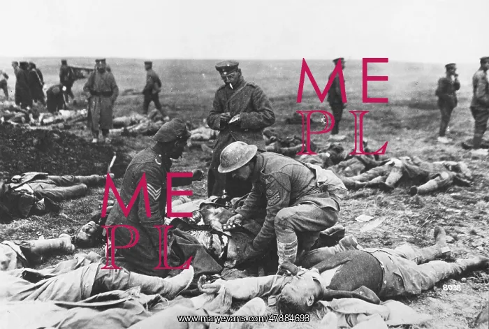 : Third Battle of Ypres : Third Battle of Ypres