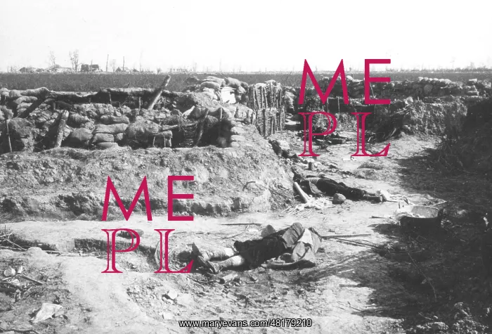 : Battlefield of Langemarck, 1914 : Battlefield of Langemarck, 1914