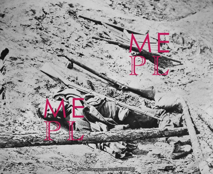 : Battlefield of Manassas : Battlefield of Manassas