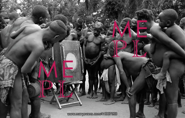: Batwa pigmies listening to playback : Batwa pigmies listening to playback