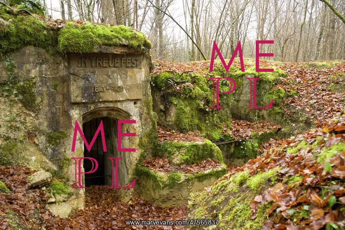: Bavarian command post bunker ruins, Brule Woods, France : Bavarian command post bunker ruins, Brule Woods, France