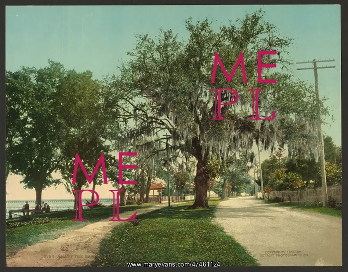 : Along the bay, Bay St. Louis, Miss : Along the bay, Bay St. Louis, Miss