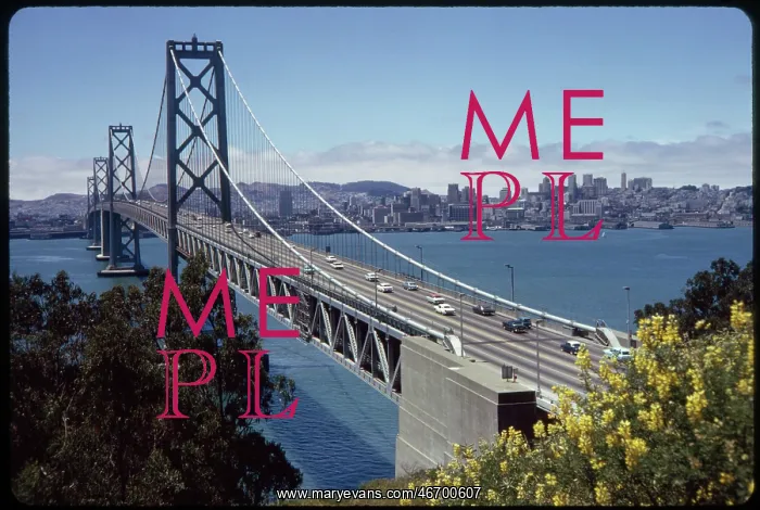: Bay Bridge - Span - San Francisco : Bay Bridge - Span - San Francisco