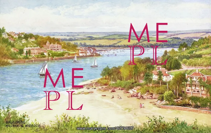 : Mill Bay and Harbour, Salcombe, Devon : Mill Bay and Harbour, Salcombe, Devon