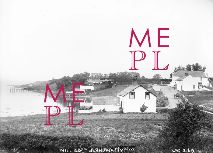 : Mill Bay, Islandmagee : Mill Bay, Islandmagee